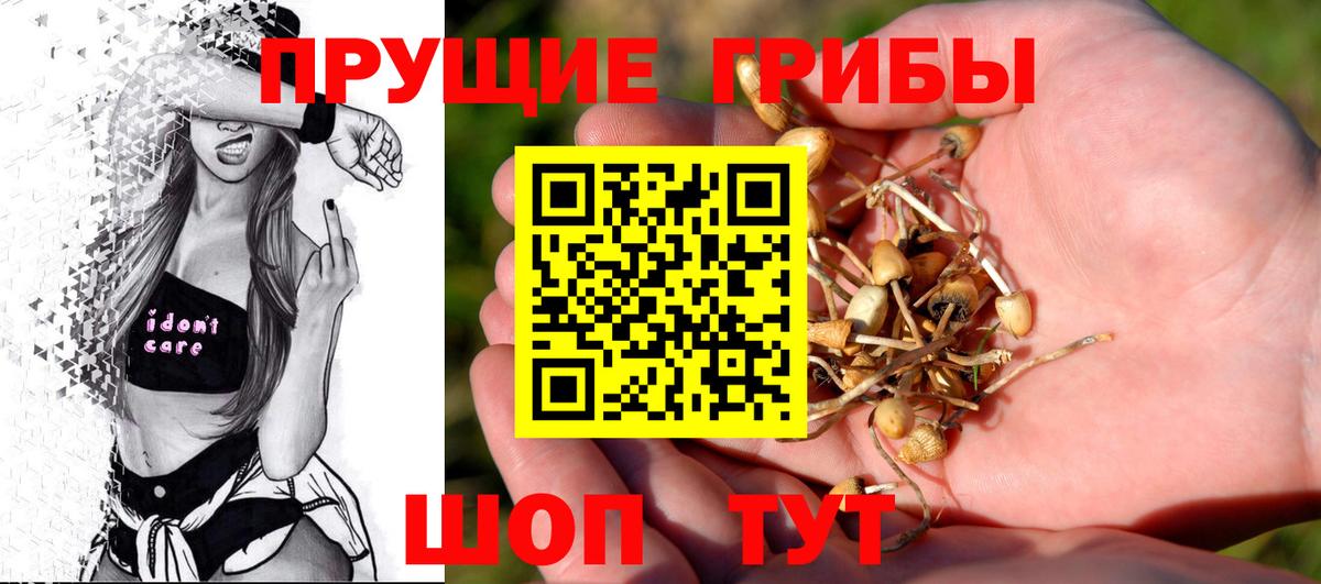 Псилоцибиновые грибы прущие грибы  Вход с VPN  Ступино 